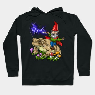 Gnome Riding Psychedelic Bufo Alvarius Hoodie